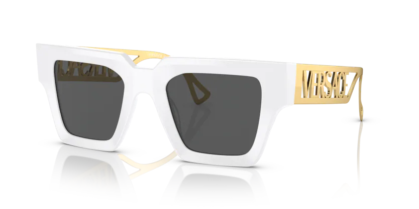 New sunglasses Mississauga Erin Mills unisex plastic frame Versace 4431